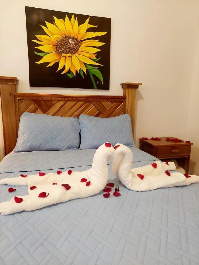 Lodge Villas Montelindo 809-878-7817 Constanza